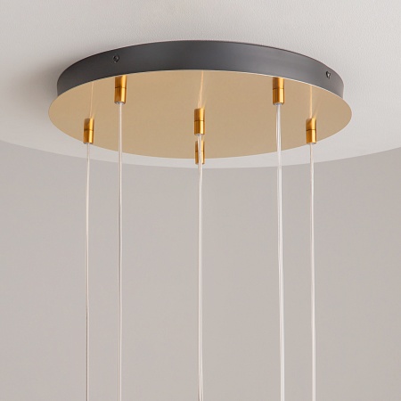 Подвесной светильник Maytoni Biology MOD367PL-L18BBSK - фото