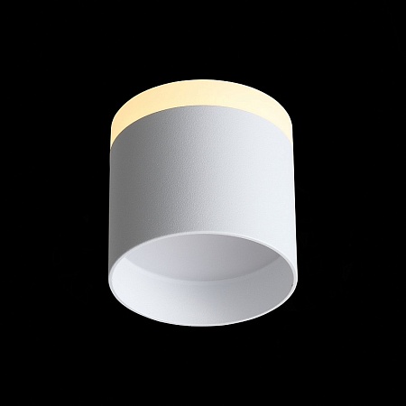 Светильник потолочный Белый LED 1*12W 3000K 936Lm Ra>80 120° IP20 D100xH90 170-240V ST102.502.12 - фото
