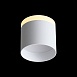 Светильник потолочный Белый LED 1*12W 3000K 936Lm Ra>80 120° IP20 D100xH90 170-240V ST102.502.12 - фото