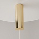 Подвесной светильник Maytoni Golden Cage MOD216PL-L10G3K - фото