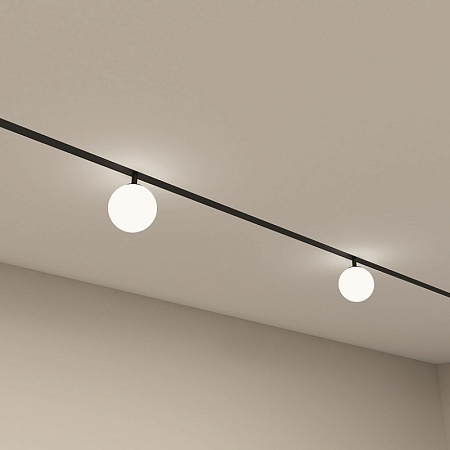 Светильник на шине Denkirs SMART MOON DK8050-BK - фото