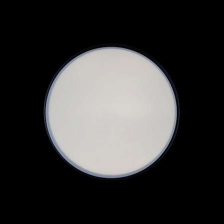 10002/12 Black Потолочный светильник LOFT IT Axel - фото