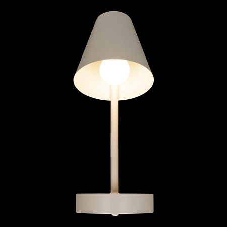 10216/1W White Настенный светильник LOFT IT Shelf - фото