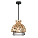 Подвесной светильник Arte Lamp WOODSTOCK A7070SP-1BK - фото