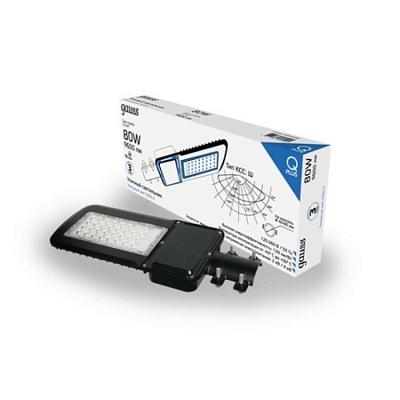 Консольный светильник GAUSS 629535380_GAUSS - фото