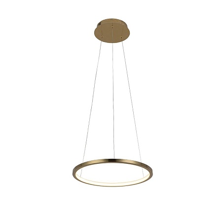 10014S Подвесной светильник LOFT IT Ring - фото