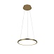 10014S Подвесной светильник LOFT IT Ring - фото