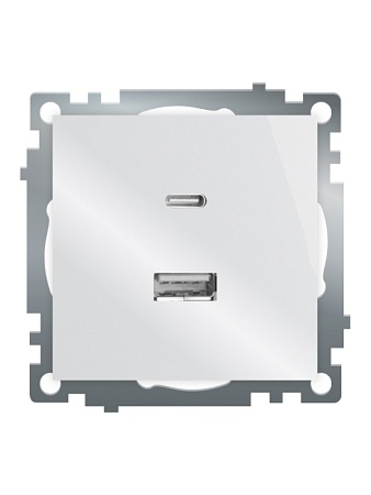 Розетка USB 2-местная + type C (механизм), STEKKER GLS10-7116-01, 250В, 3А, max 20W, серия Катрин, белый - фото