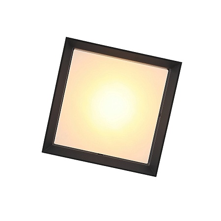 Светильник уличный потолочный ST-Luce Черный/Белый LED 1*12W 3000K SL077.402.01 - фото