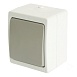 Переключатель 1-клавишный STEKKER, PSW10-212-54, 1-полюсный на 2 направления открытой установки, 250В, 10А, IP54, белый/серый - фото