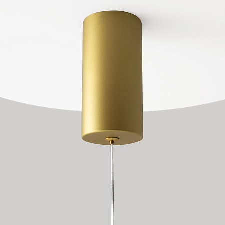 Подвесной светильник Maytoni Pro Shade MOD157PL-L6GK - фото