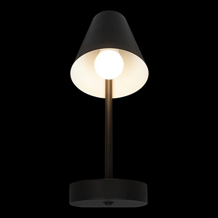 10216/1W Black Настенный светильник LOFT IT Shelf - фото