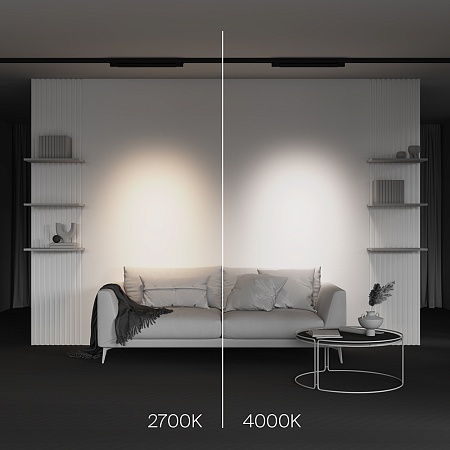 Трековый светильник Technical Points  TR195-3-20W2.7K-M-B - фото