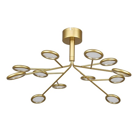 Подвесная/потолочная люстра F-Promo 4253-12P - фото