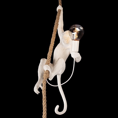 10314P Подвесной светильник LOFT IT Monkey - фото