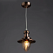 Подвесной светильник Arte Lamp FISHERMAN A5518SP-1RB - фото