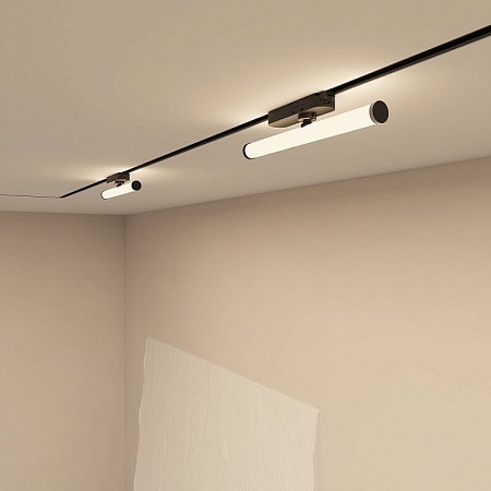 Светильник на шине Denkirs Strom DK6448-BK - фото