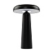 Аккумуляторный светильник Freya FR6109TL-L4B - фото