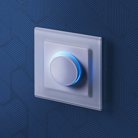 Диммер с подсветкой белый WL01-DM600-LED - фото