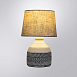 Декоративная настольная лампа Arte Lamp TIAKI A4636LT-1GY - фото