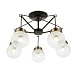 Светильник потолочный Черный, Бронза/Прозрачный, Белый E27 5*60W SLE110302-05 - фото
