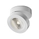 Потолочный светильник Technical Magic C022CL-12W4K-W-1 - фото