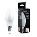 Лампа светодиодная Feron.PRO LB-1307 Свеча E14 7.5W 175-265V 6400K - фото