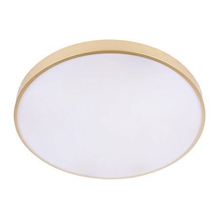 10228/B Потолочный светильник LOFT IT Flims - фото