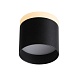 Светильник потолочный Черный LED 1*12W 3000K 936Lm Ra>80 120° IP20 D100xH90 170-240V ST102.402.12 - фото