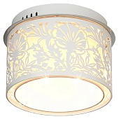 Потолочный светильник Lussole VETERE GRLSF-2307-04