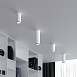 Светильник потолочный светодиодный 10W 4000K белый 25045/LED Elektrostandard - фото