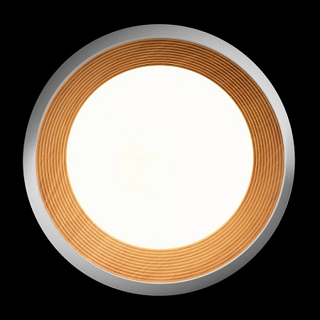 10255/500 White Потолочный светильник LOFT IT Folk - фото