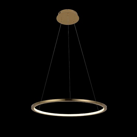10014M Подвесной светильник LOFT IT Ring - фото
