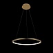 10014M Подвесной светильник LOFT IT Ring - фото