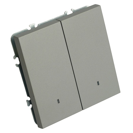 Выключатель 2-клавишный c индикатором (механизм), STEKKER, 250В, 10А, серия Эмили, RSW10-5102-10,  платиново-серый, soft touch - фото