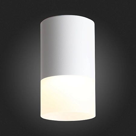 Светильник потолочный Белый LED 1*5W 3000K 390Lm Ra>80 120° D64xH110 170-240V ST100.502.05 - фото
