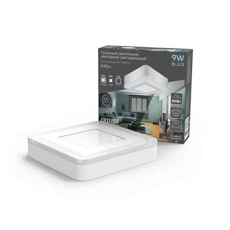 Парковый светильник GAUSS BL223_GAUSS - фото