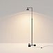 Напольный светильник (торшер) Maytoni Pikant MOD372FL-L10B3K - фото