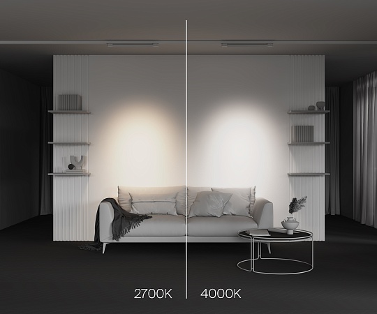 Трековый светильник Technical Points  TR195-3-20W4K-M-W - фото