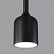 Подвесной светильник Outdoor O491PL-L8B3K - фото