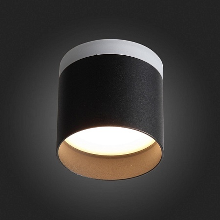 Светильник потолочный Черный LED 1*12W 3000K 936Lm Ra>80 120° IP20 D100xH90 170-240V ST102.402.12 - фото