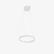 Подвесной светильник Maytoni Rim MOD058PL-L22WK - фото