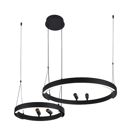 Подвесная люстра F-Promo 4474-2P - фото