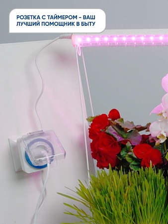 Розетка с таймером Feron TM31 суточная мощность 3500W/16A IP44 - фото