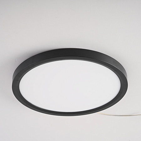 Потолочный Светильник Slim D23 Чёрный Imperiumloft 178442-26 - фото