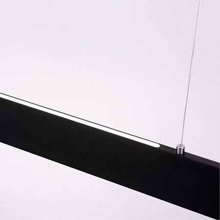 Подвесной светильник Arte Lamp LARGO A2505SP-2BK - фото