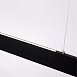 Подвесной светильник Arte Lamp LARGO A2505SP-2BK - фото