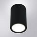 Уличный потолочный светильник Arte Lamp TORCULAR A1807PF-1BK - фото