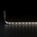 Светодиодная лента 24 В 14,4 Вт/м 60 Led/м 5050 IP20, теплый белый 3300K, 5 м Лента светодиодная 24V 14,4W 60Led 5050 IP20 теплый белый, 5м Elektrostandard - фото