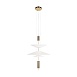 10244/B Brass Подвесной светильник LOFT IT Skylar - фото